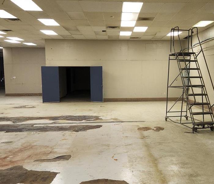 Empty warehouse space, epoxy floors, fluorescent ceiling light and suspended ceiling tiles.